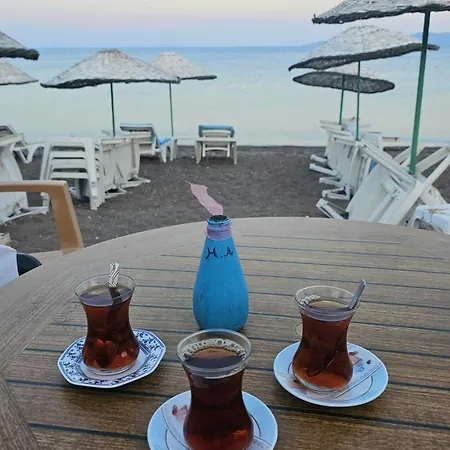 Alloggio in famiglia H A Ayvacik (Canakkale)