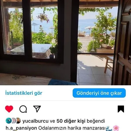 H A Homestay *
