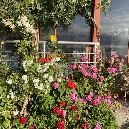 H A Homestay Ayvacik