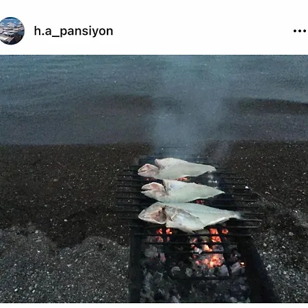 Privat bolig H A Ayvacik (Canakkale)