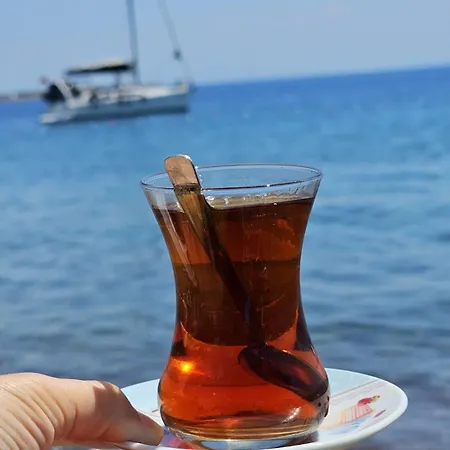 H A Séjour chez l'habitant Ayvacik (Canakkale)